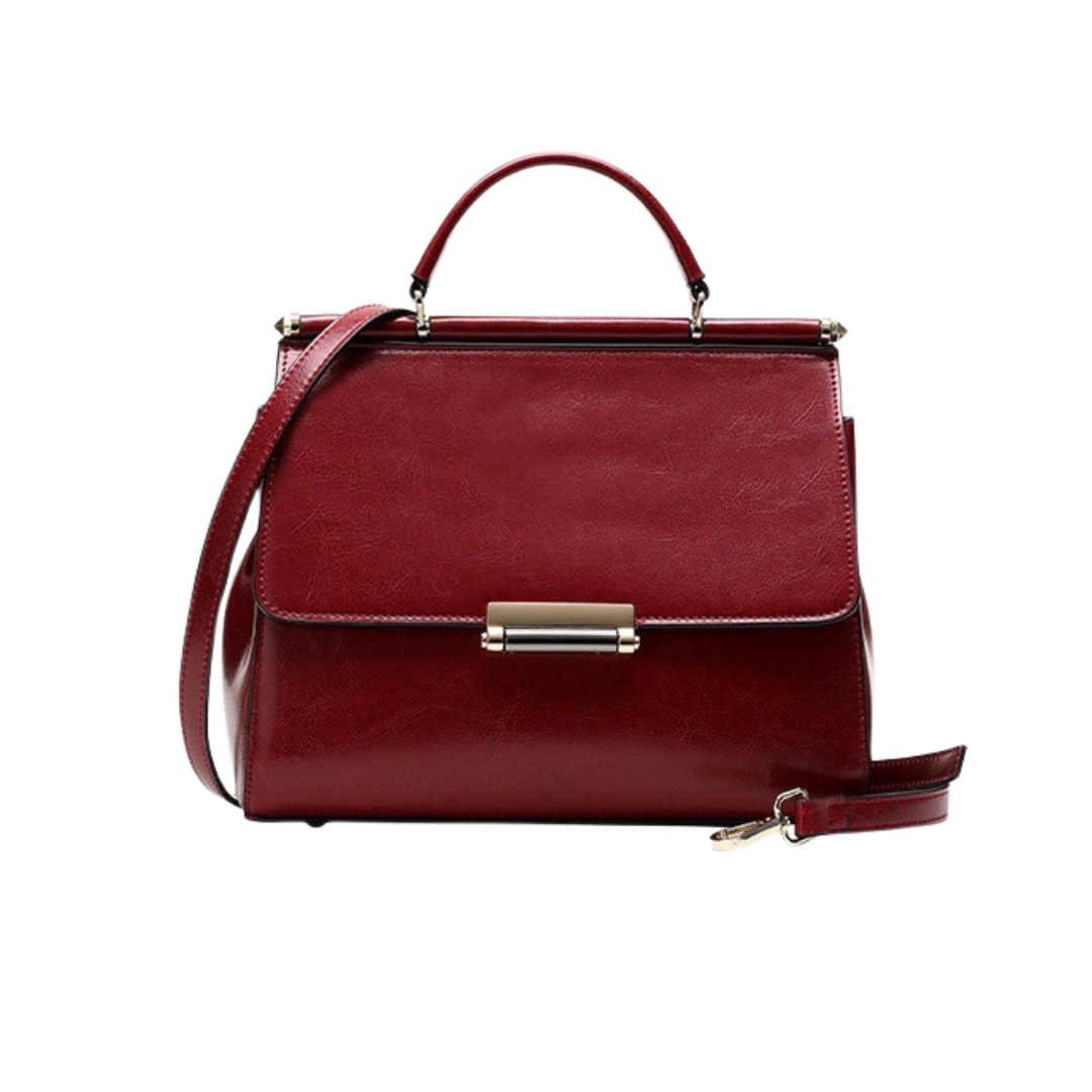 Wine Red Briefcase Carry