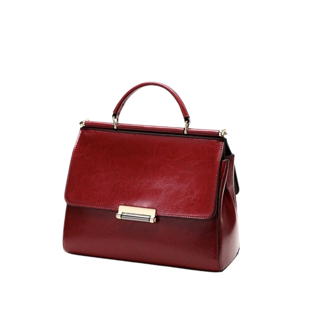 Wine Red Briefcase Carry
